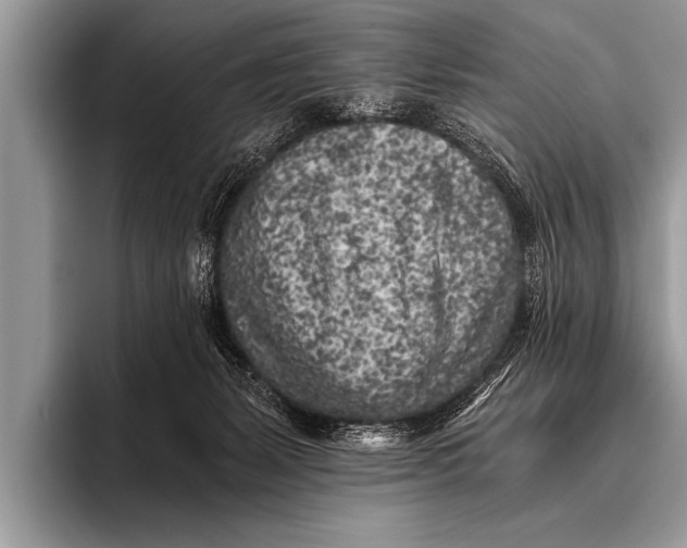 X0000096180127200802081507