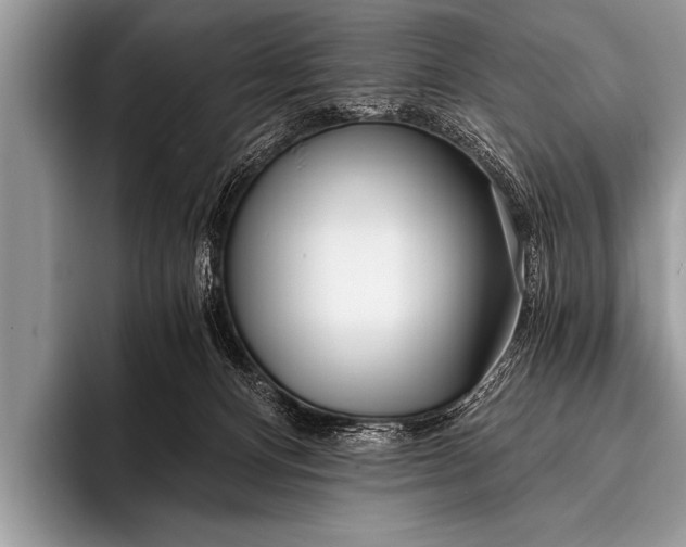 X0000096180128200802081507