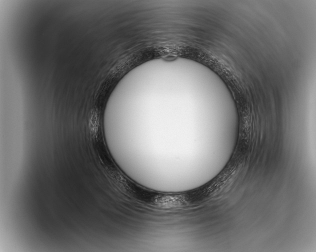 X0000096180129200802081507