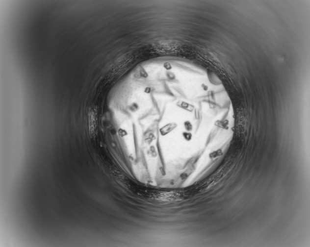 X0000096180130200802081507