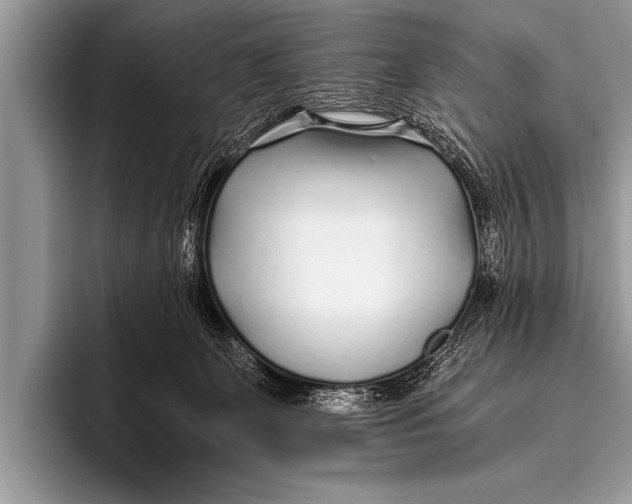X0000096180131200802081507