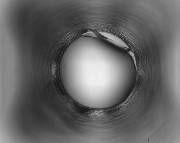 X0000096180132200802081507
