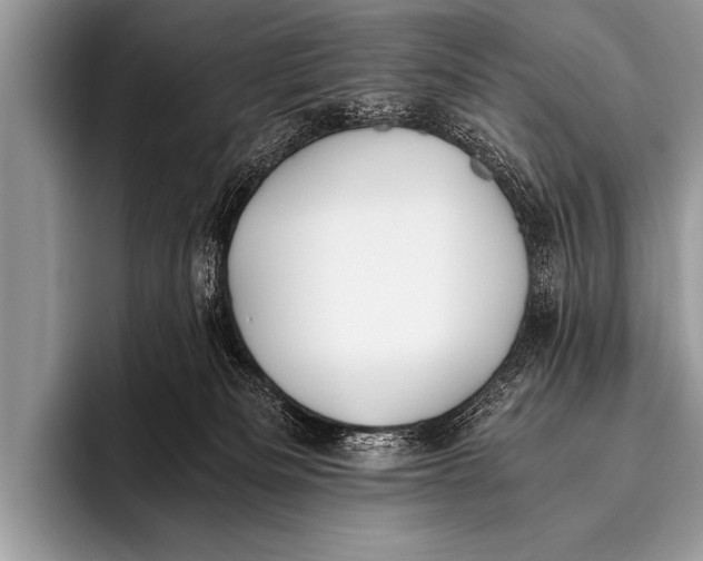 X0000096180133200802081507