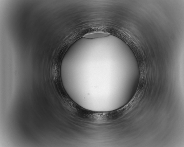 X0000096180136200802081507