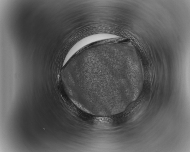 X0000096180137200802081507