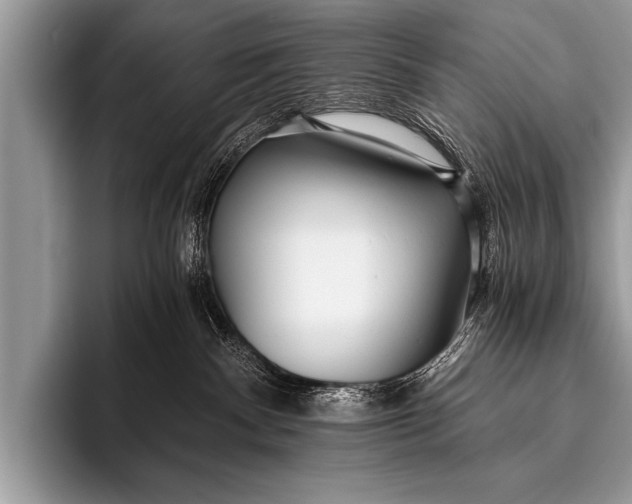 X0000096180140200802081507