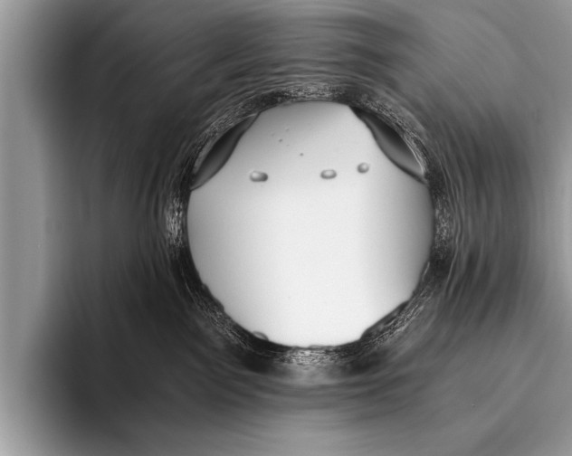 X0000096180141200802081507