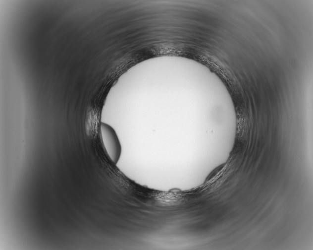 X0000096180142200802081507