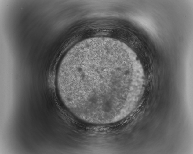 X0000096180146200802081506