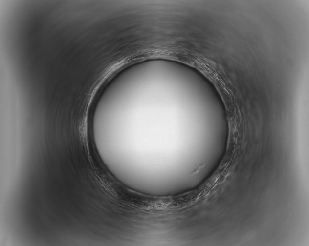 X0000096180148200802081506