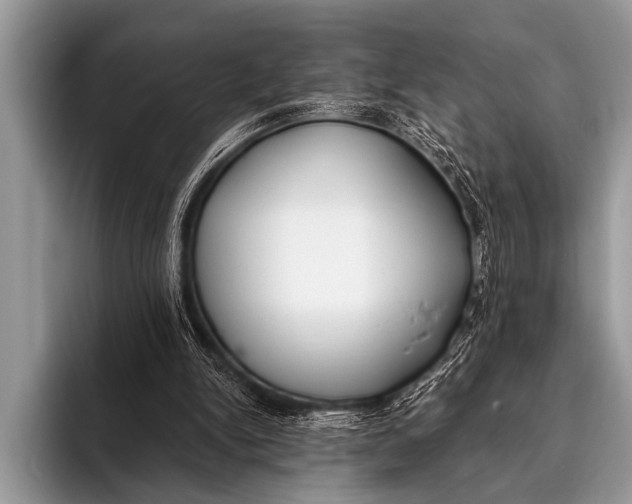 X0000096180150200802081506
