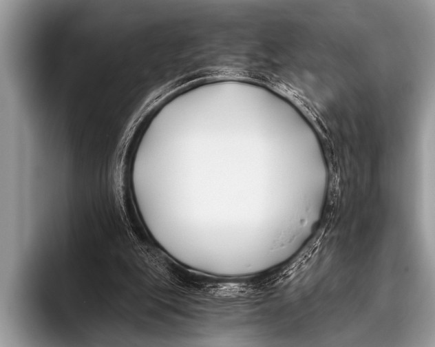 X0000096180151200802081506