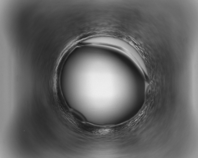 X0000096180152200802081506