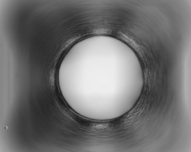 X0000096180155200802081506