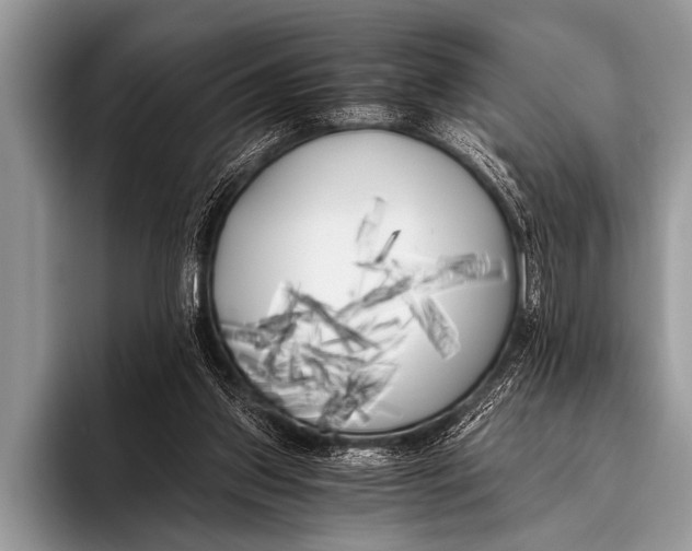 X0000096180157200802081506