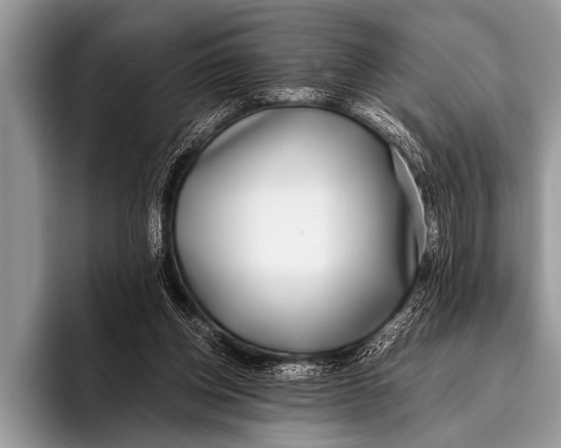 X0000096180158200802081506