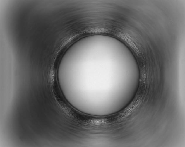 X0000096180160200802081506