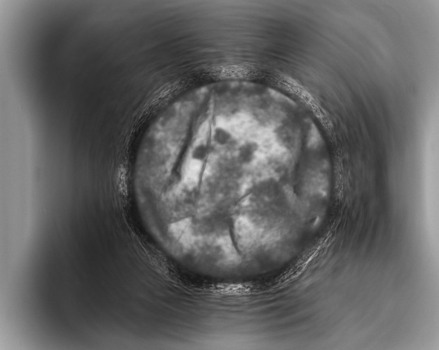 X0000096180161200802081506