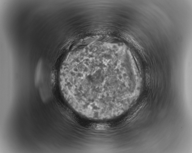 X0000096180165200802081506