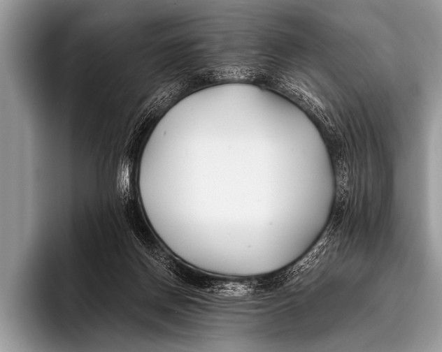 X0000096180166200802081506