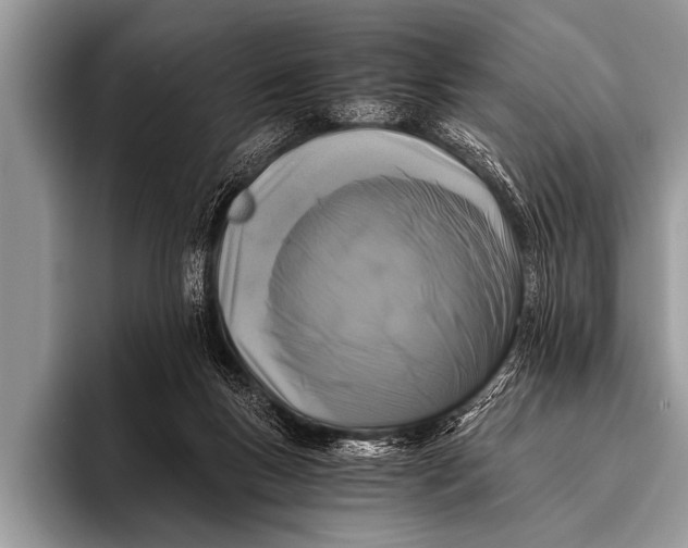X0000096180167200802081506