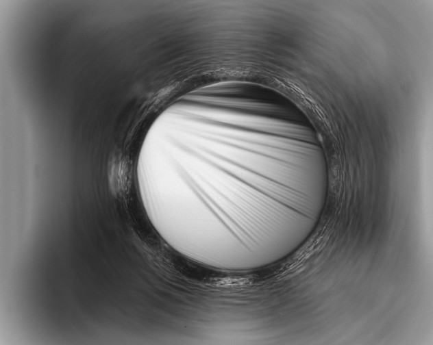 X0000096180168200802081506