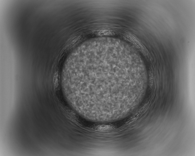 X0000096180169200802081506