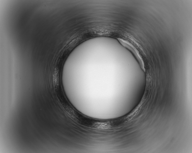 X0000096180170200802081506