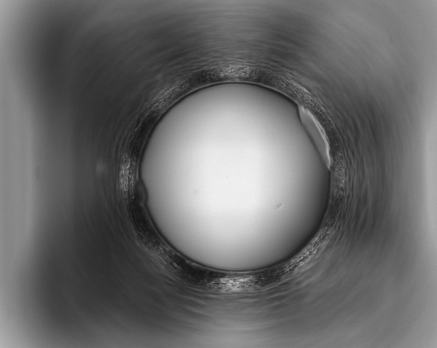 X0000096180172200802081507