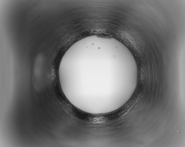 X0000096180173200802081507