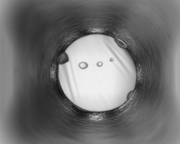 X0000096180175200802081507