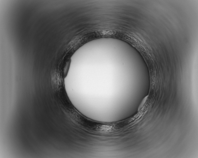 X0000096180176200802081507