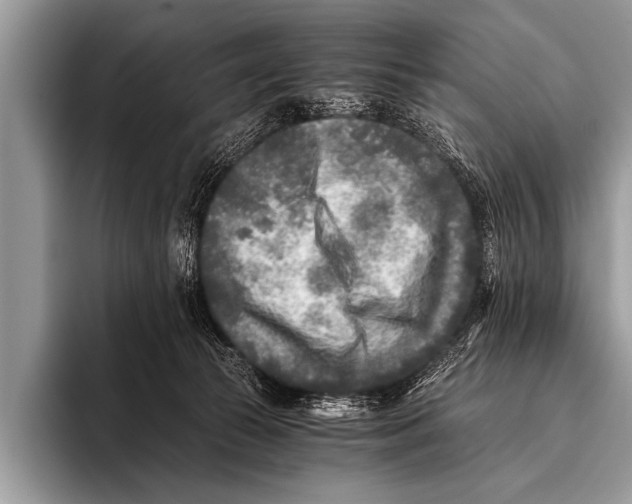 X0000096180177200802081507