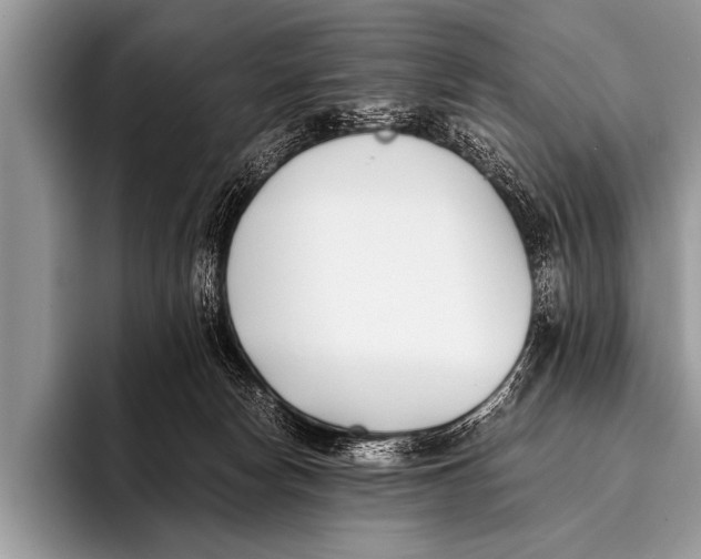 X0000096180178200802081507