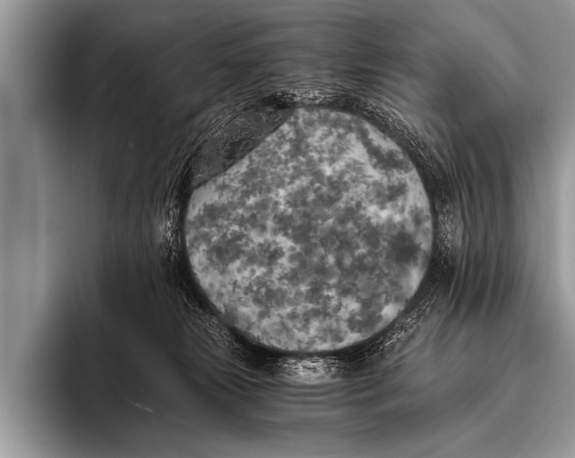 X0000096180181200802081507