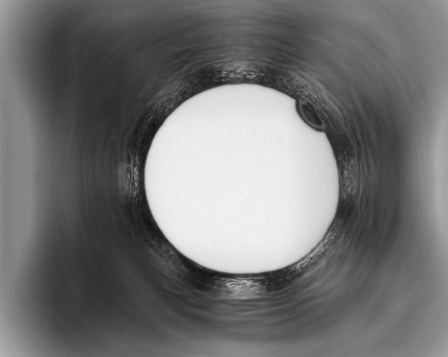 X0000096180183200802081507