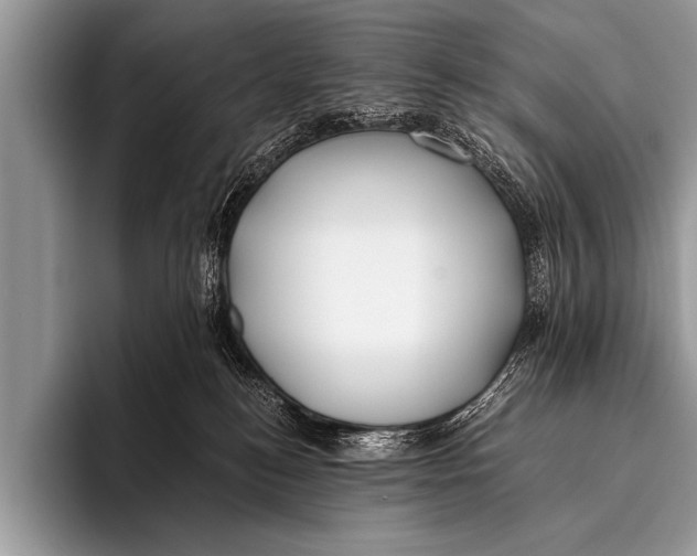 X0000096180184200802081507