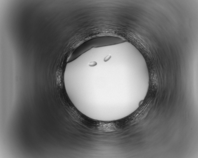 X0000096180185200802081507