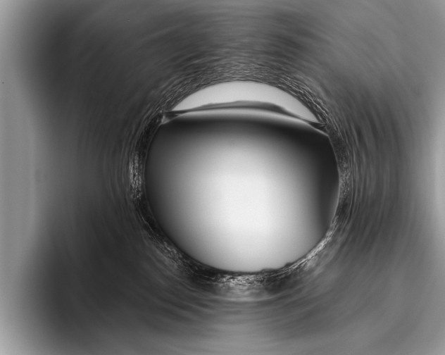 X0000096180186200802081507