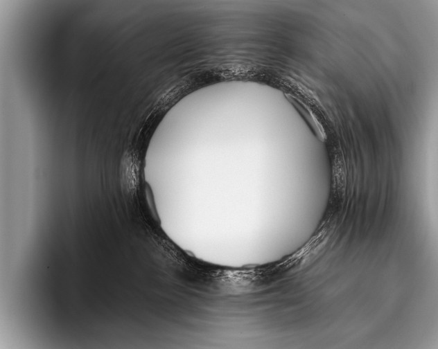 X0000096180188200802081507