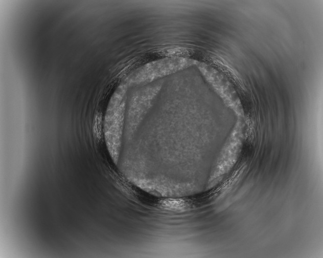 X0000096180189200802081507
