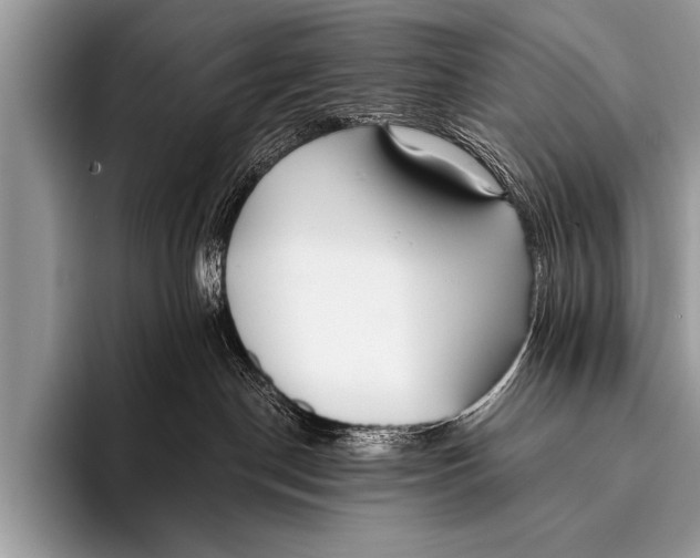 X0000096180190200802081507