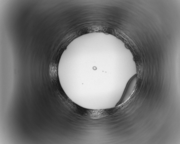 X0000096180191200802081507