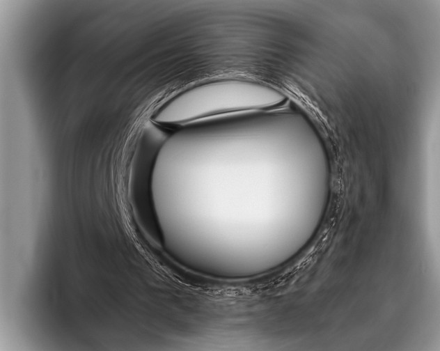 X0000096180193200802081506