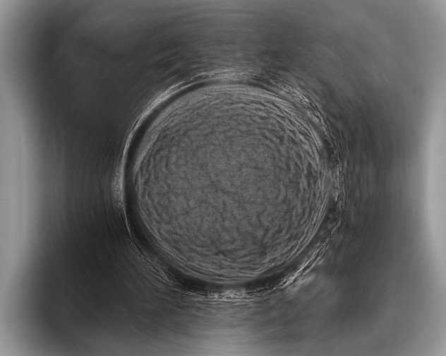 X0000096180196200802081506