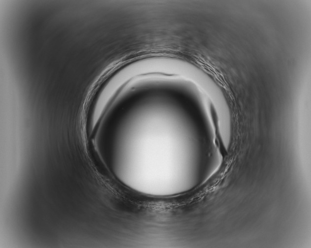 X0000096180197200802081506
