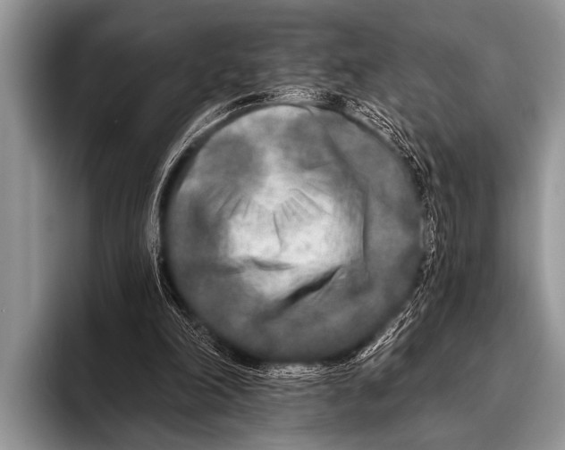 X0000096180198200802081506