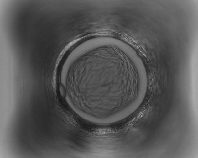 X0000096180200200802081506