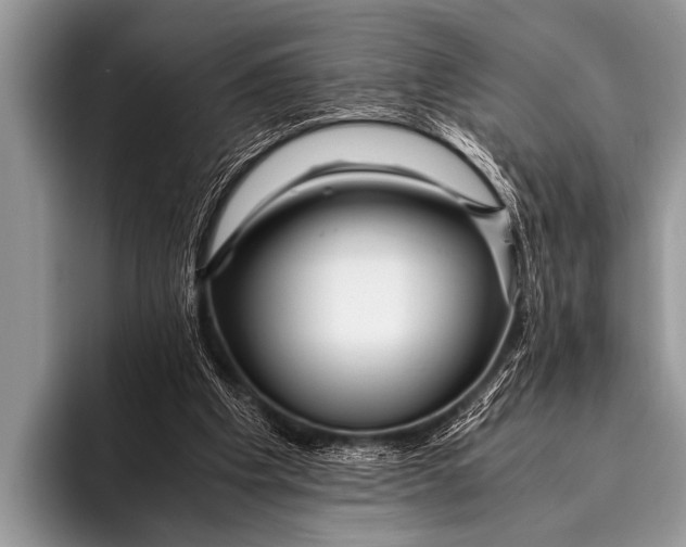 X0000096180201200802081506