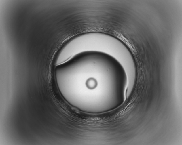 X0000096180203200802081506
